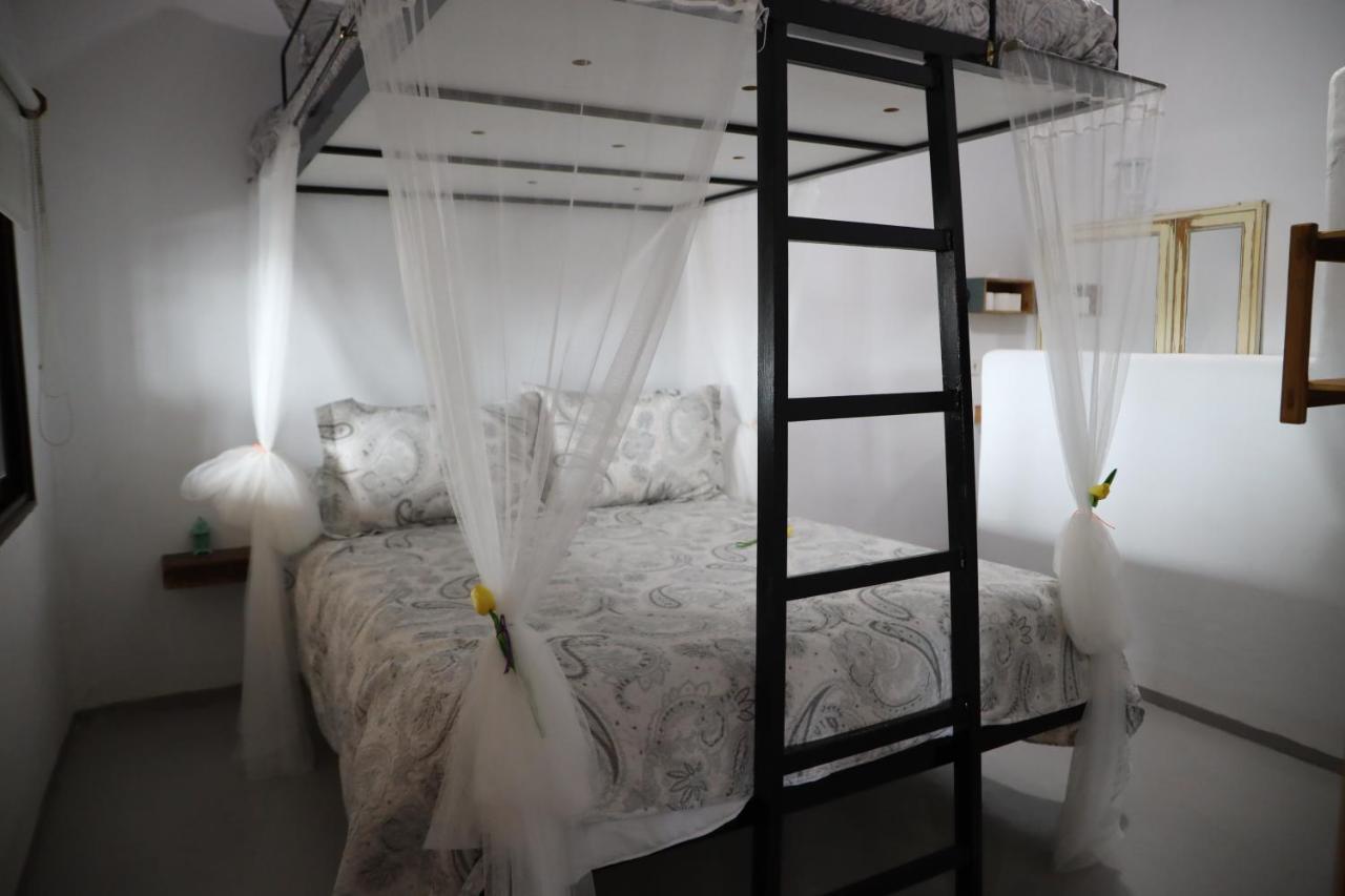 La Finestra Del Delta Guest House L'Ampolla Ngoại thất bức ảnh